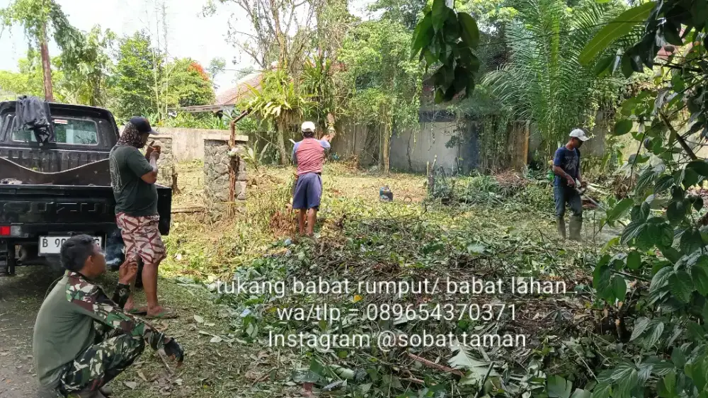 Babat rumput liar - babat lahan