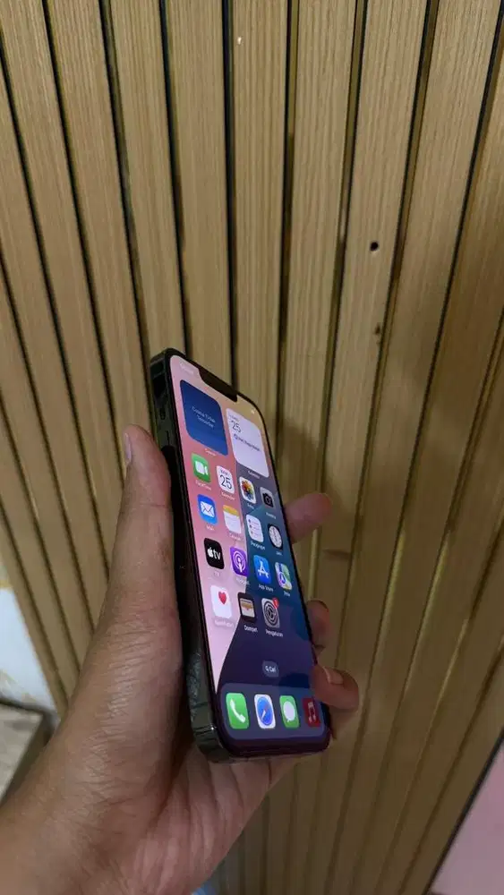 Iphone 13 Pro 1TB Alphine Green Beacukai