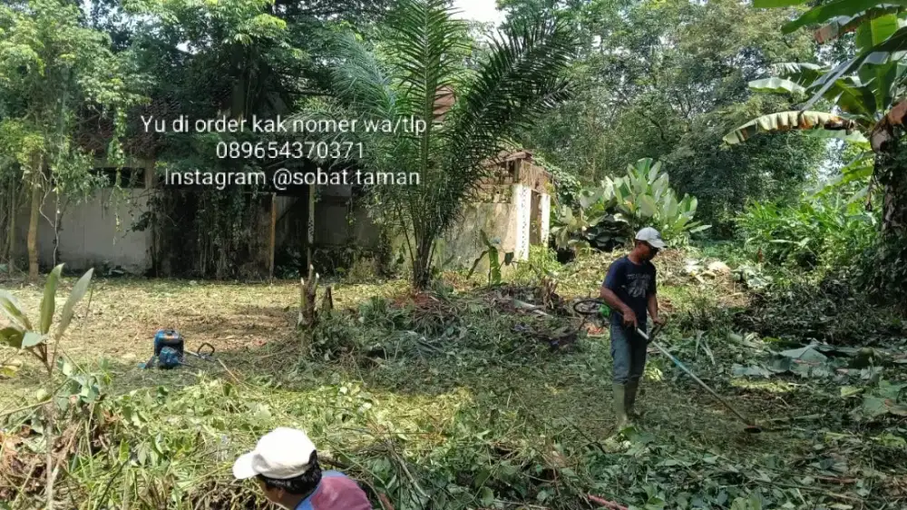 Potong rumput - babat rumput