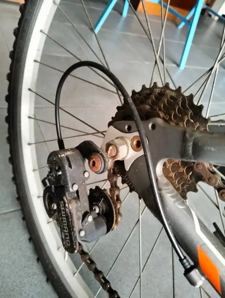 Sepeda poligon,dinego aja