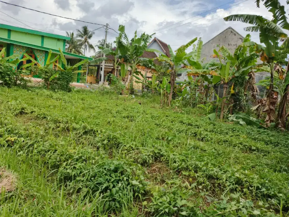 Di jual tanah di area kavling