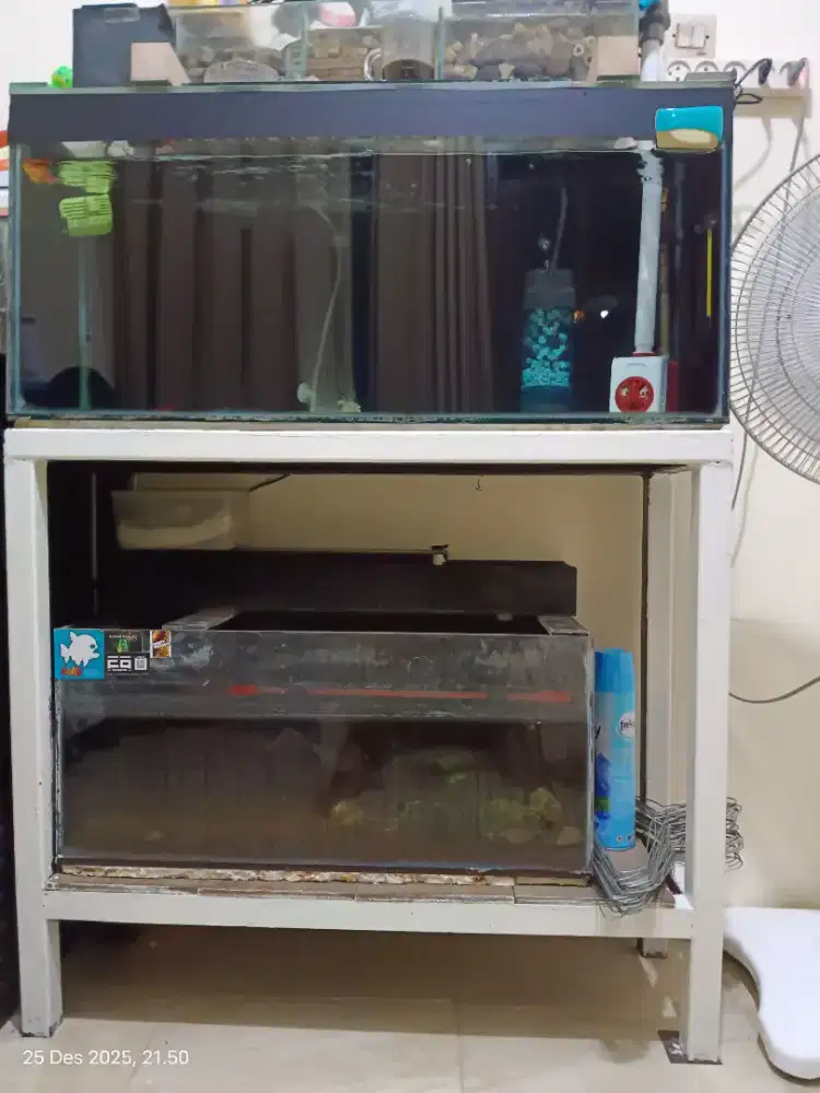 Aquarium set ikan