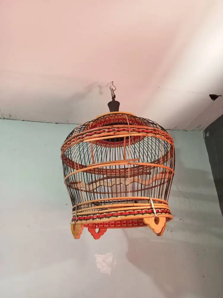 Kandang burung tekukur