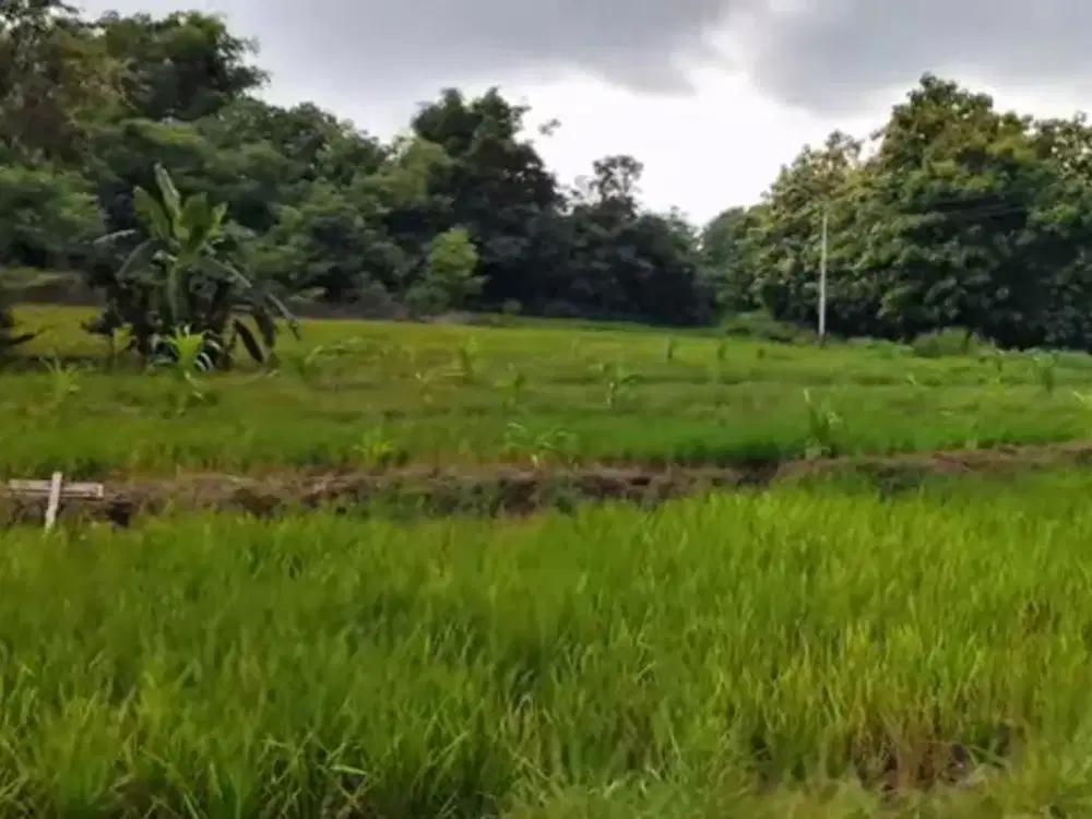 Murah, Tanah Datar View Waduk