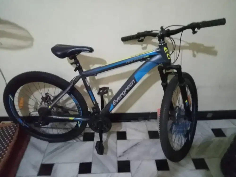 Sepeda gunung mtb evergreen