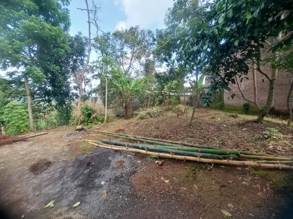 Di Jual Tanah Pekarangam Strategis - Boja Kendal