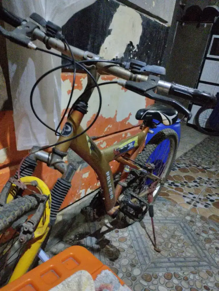 Sepeda Dewasa Merk Polygon