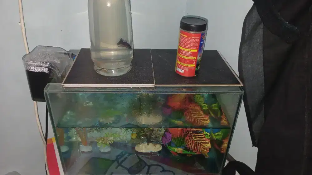 JUAL AKUARIUM+IKANNYA+ADAPTOR+PAKAN IKAN