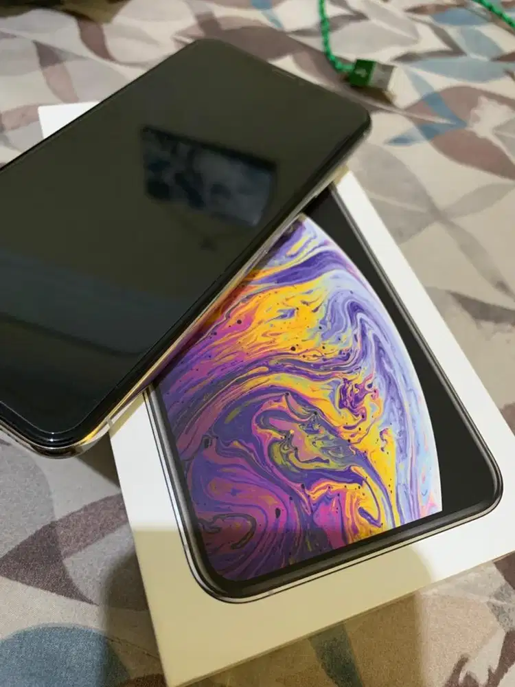 Xs Max 256GB ex Inter