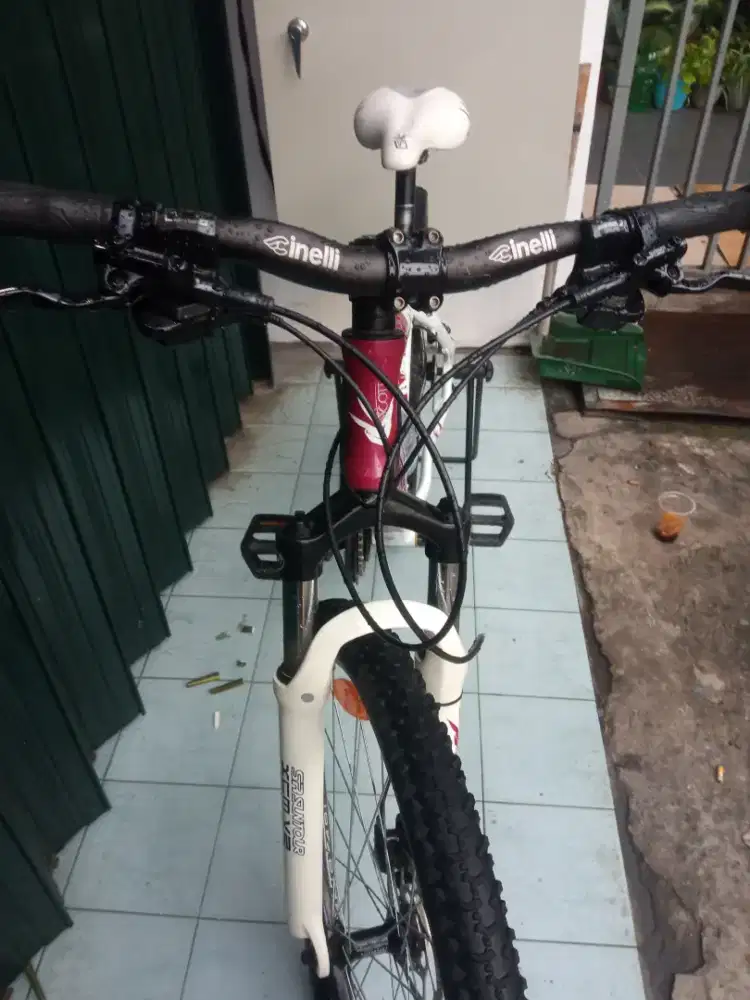 Hartel MTB Scott 26