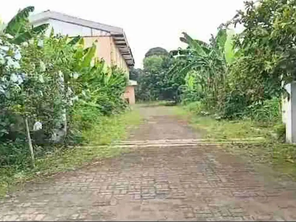 Dijual Tanah Jagakarsa Lenteng Agung Lokasi Pinggir jalan Utama