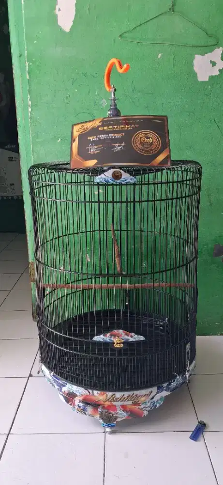 Sangakar murai ebod pvc no2