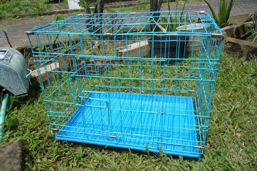 Kandang Kucing Biru