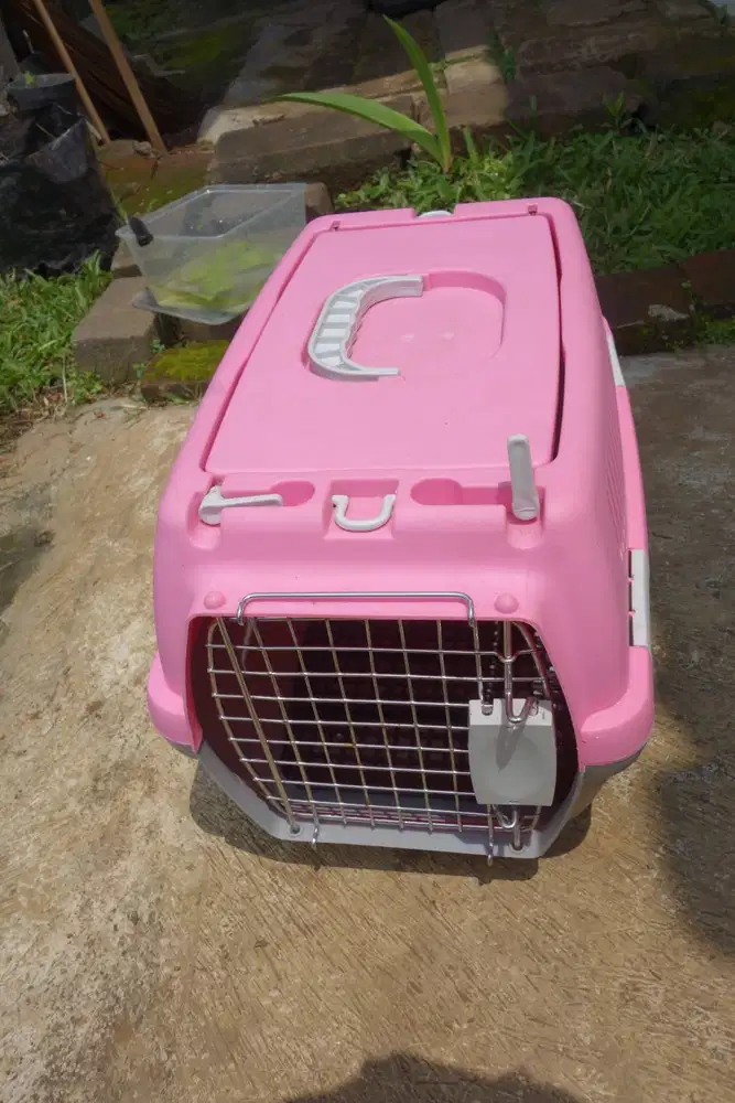 Pet Cargo Dua Pintu