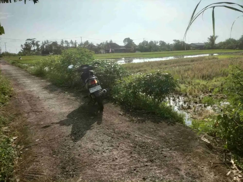 jual tanh pertanian lokasi pasut tibubiu  2700m2 harga 150jt/ are