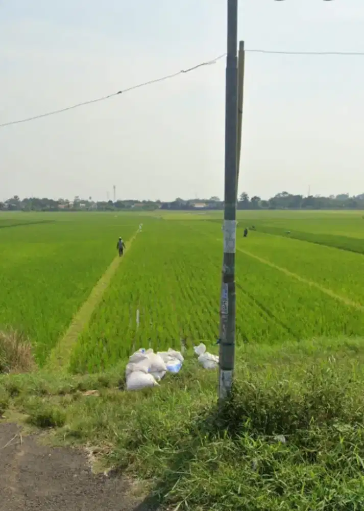 PELUANG INVESTASI LAHAN STRATEGIS MULTIGUNA DI JANTUNG KOTA PEKALONGAN