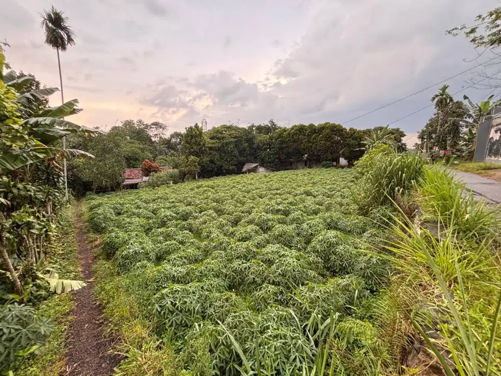 Di Jual Tanah Lokasi Strategis Harga Murah (ada 5 Kontrakan)