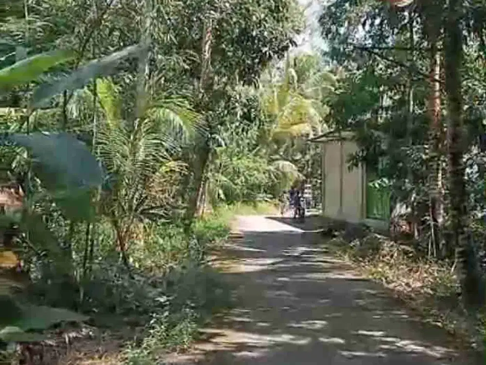 JUAL TANAH DI BOJONG PANJATAN KULONPROGO