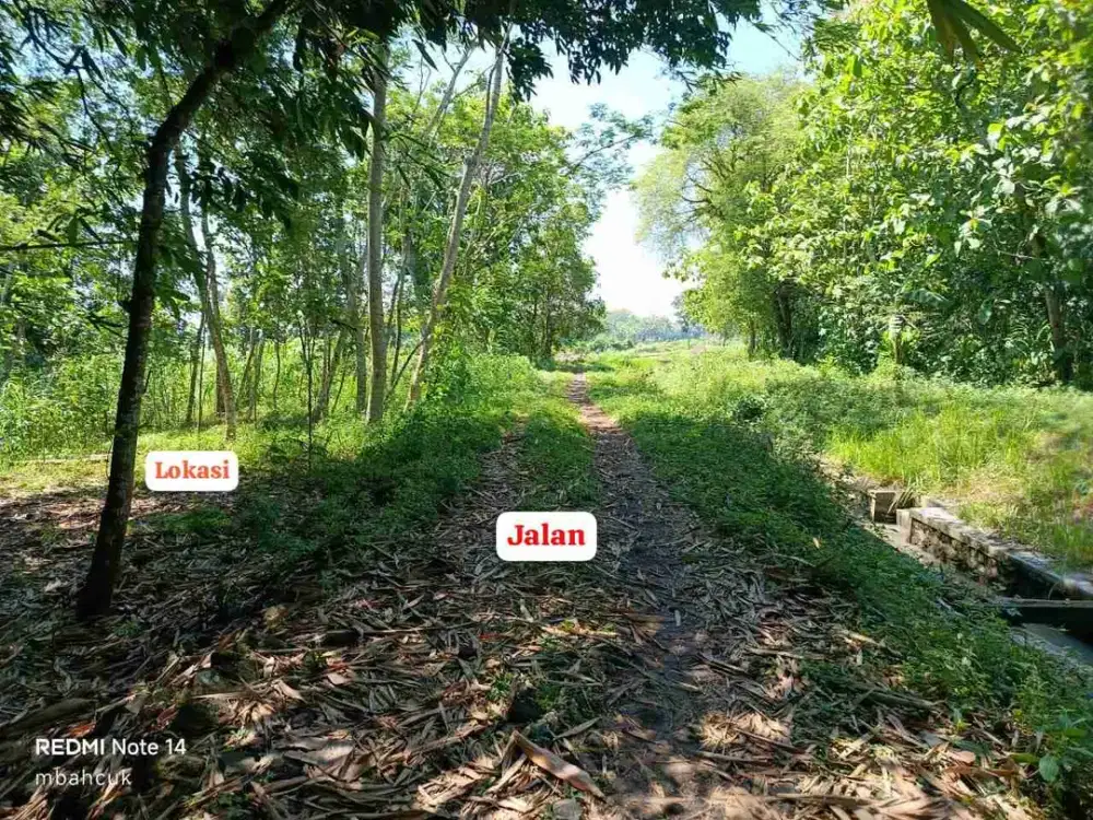 JUAL TANAH DI SUKORENO SENTOLO KULONPROGO VIEW SAWAH