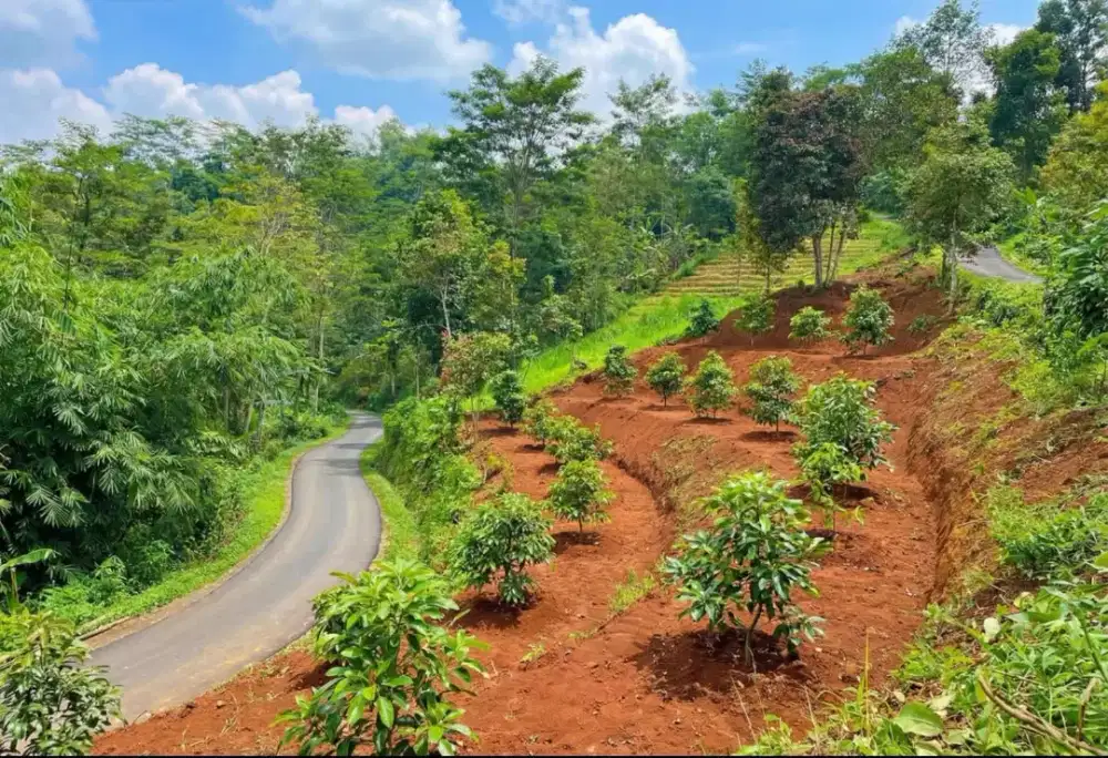 Tanah Subur 1200 m2 Ngargoyoso Karanganyar