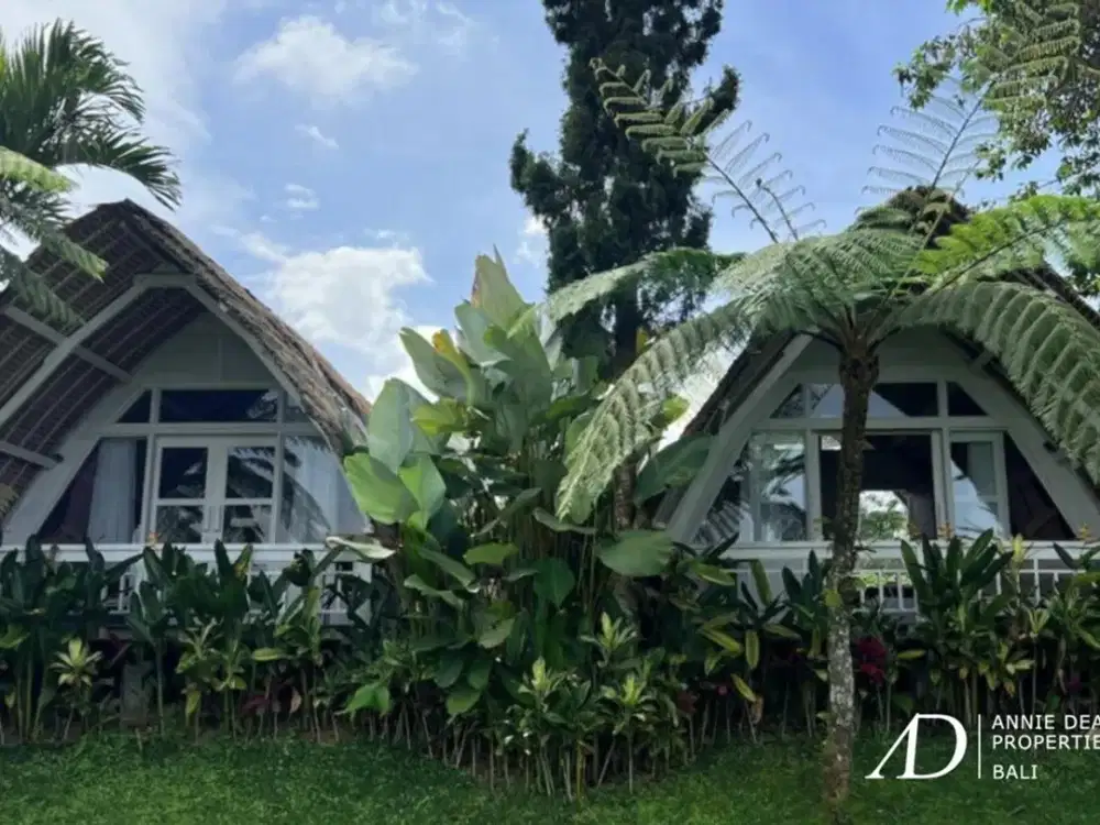 FREEHOLD ECO-BOUTIQUE HOTEL WITH PANORAMIC VIEWS IN BEDUGUL