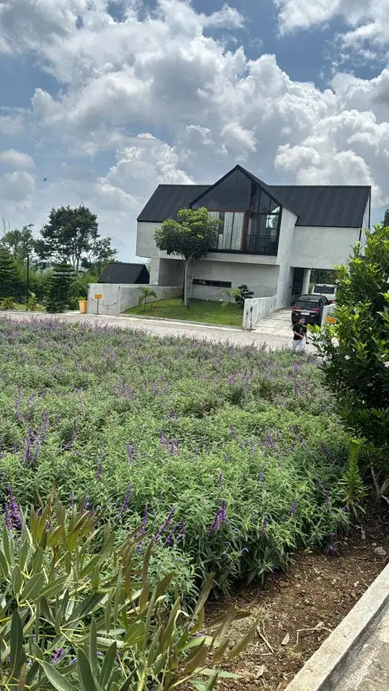 Dicari Kernet Mobil Colt Diesel