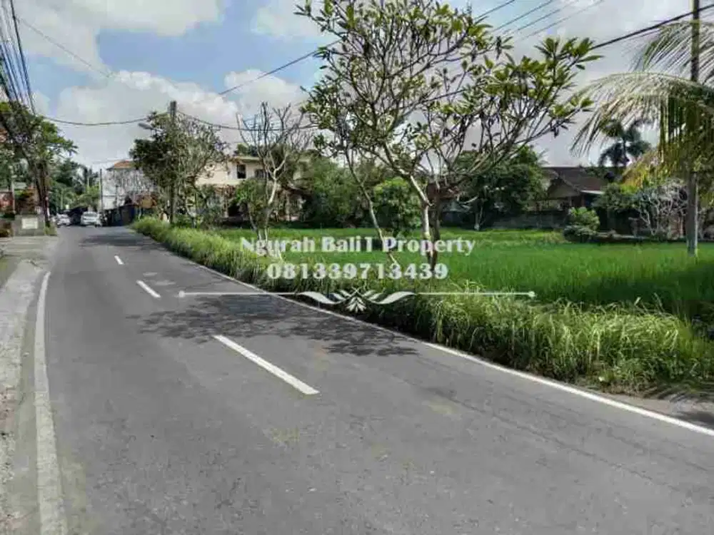 Tanah Premium Disewakan Murah Luas 12,70 Are di Ubud Gianyar Bali