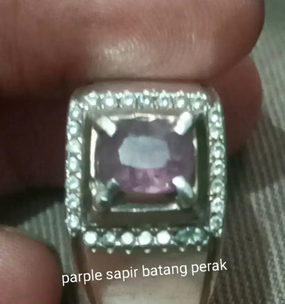 Purpel shafir asli