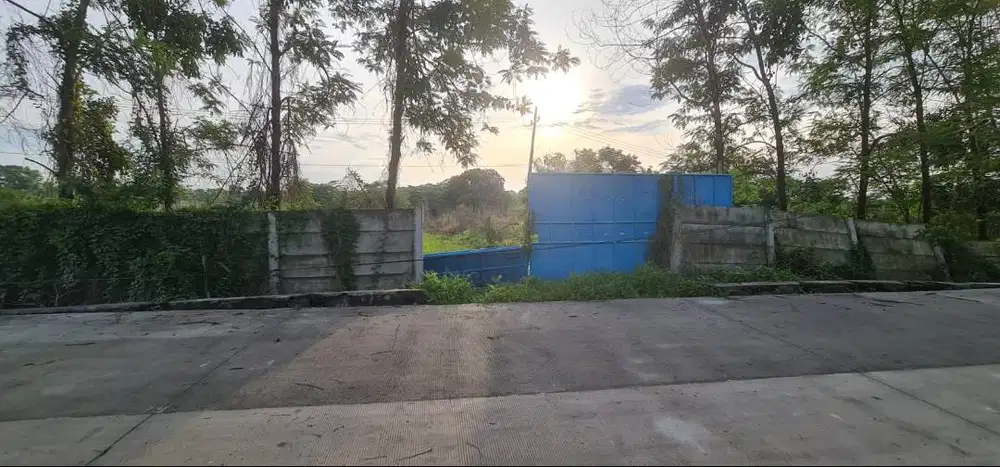 DIJUAL SEGERA TNH KEBUN KM 0 JLN DESA PAVING 6618 M2 TANPA PERANTARA