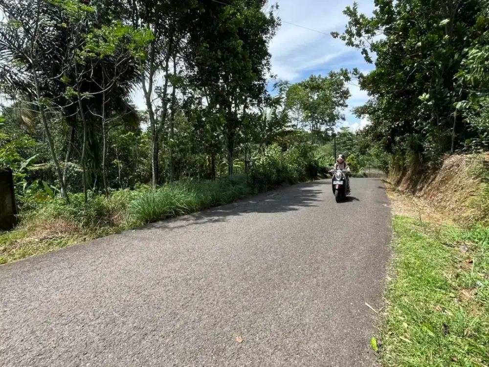 Tanah Pinggir Jalan Besar di Pedesaan Bojong Purwakarta Dijual Murah