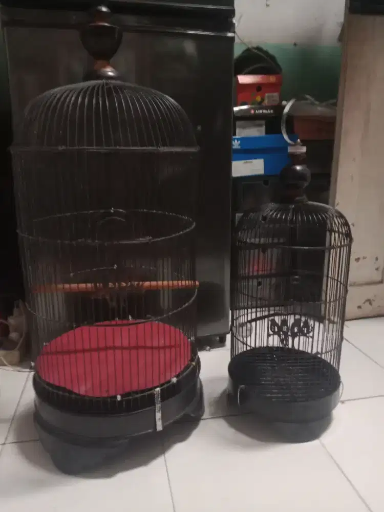 Kandang lovebird dan burcil