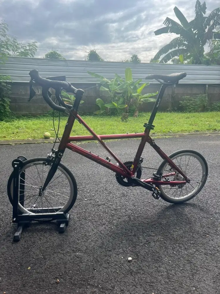 Sepeda Tyrell FX Folding