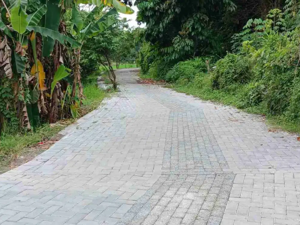 Di Jual Tanah Pekarangan Dekat Hotel Hyatt Jl. Palagan KM.7 Sendangadi Mlati Sleman  Yogya