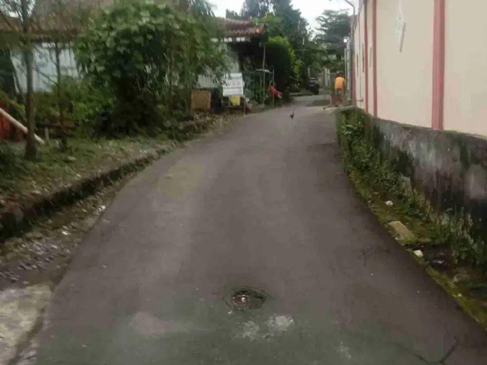 Degolan dari Jakal km 14 masuk 50 an meter