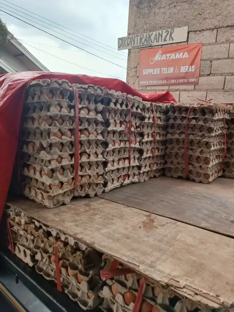 Di butuhkan kurir Telur