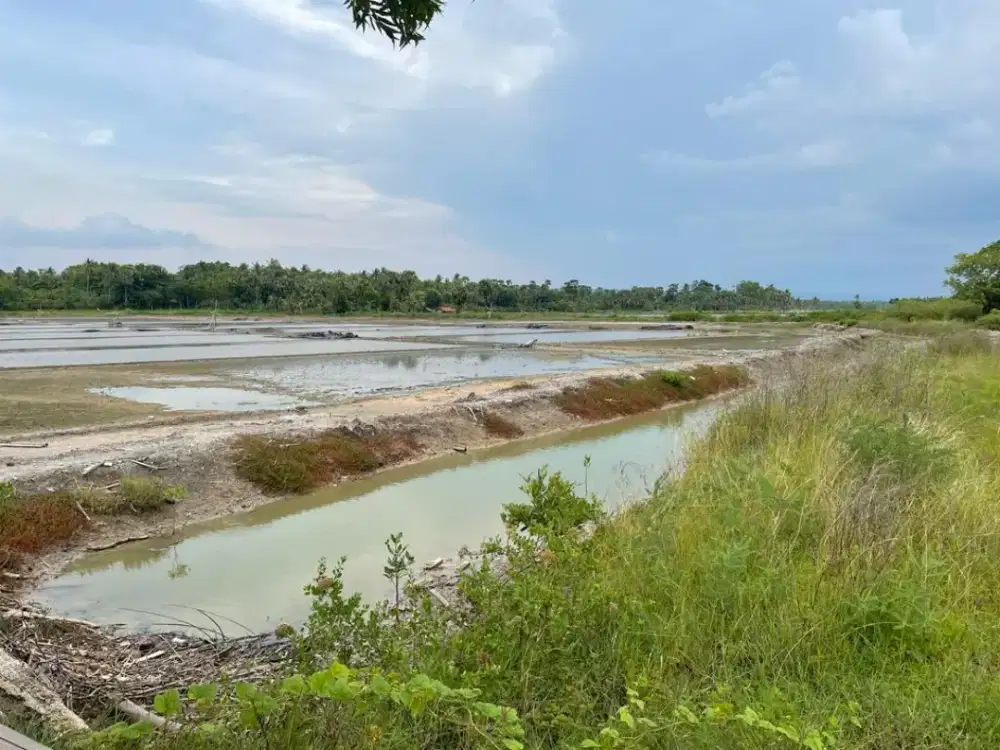 Dijual tambak  garam produktif