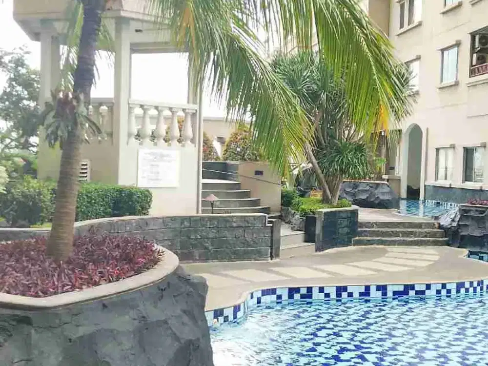 MEDITERANIA MARINA SEWA TAHUNANAN TIPE 1BR SIAP HUNI