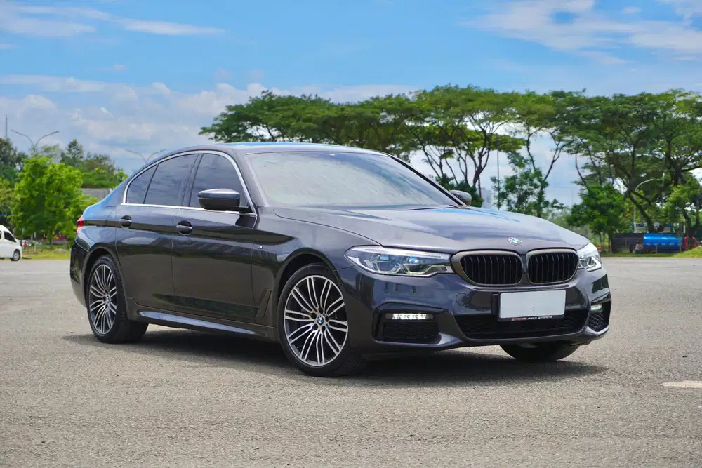 BMW 530i G30
MSport B48 2019 / 2020