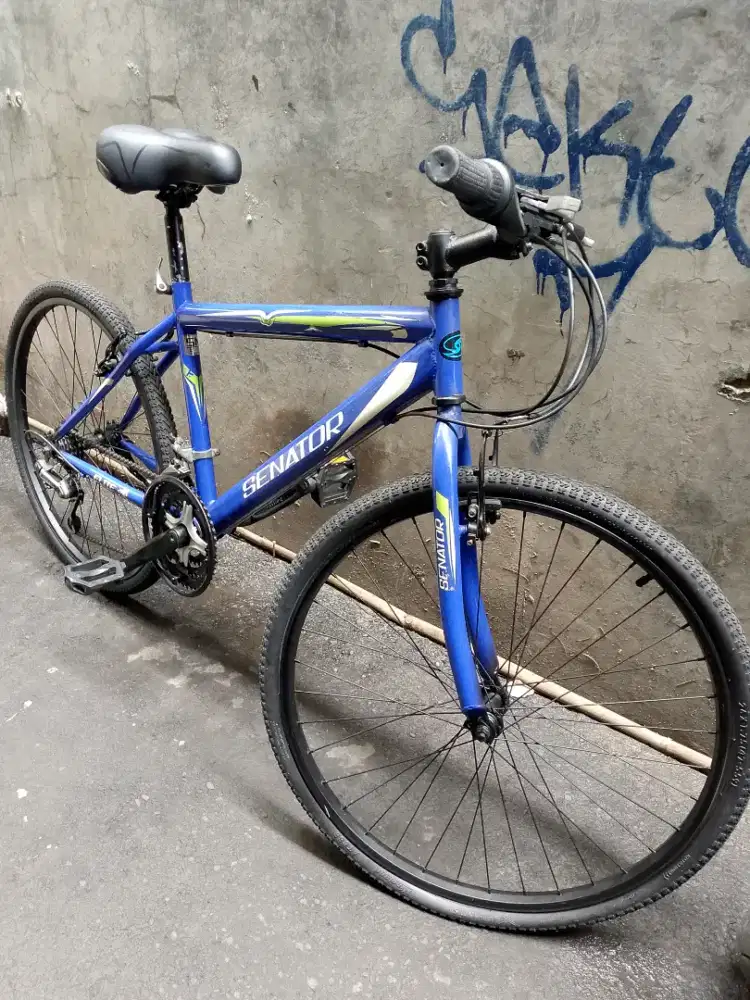 Sepeda senator MTB 26