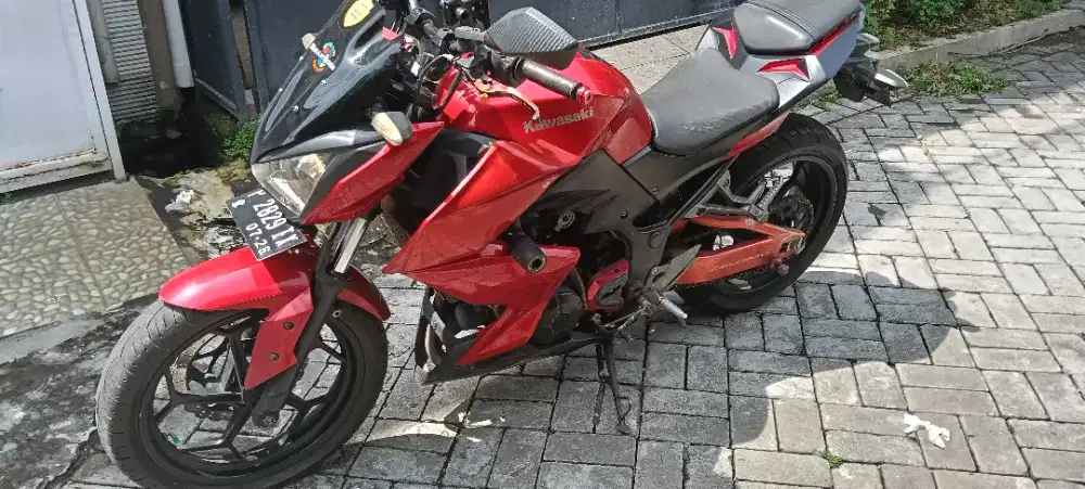 Ninja Z250 Naked