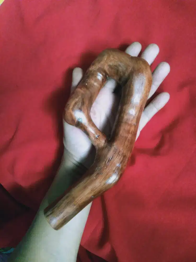 Kayu akar mimang tunggal