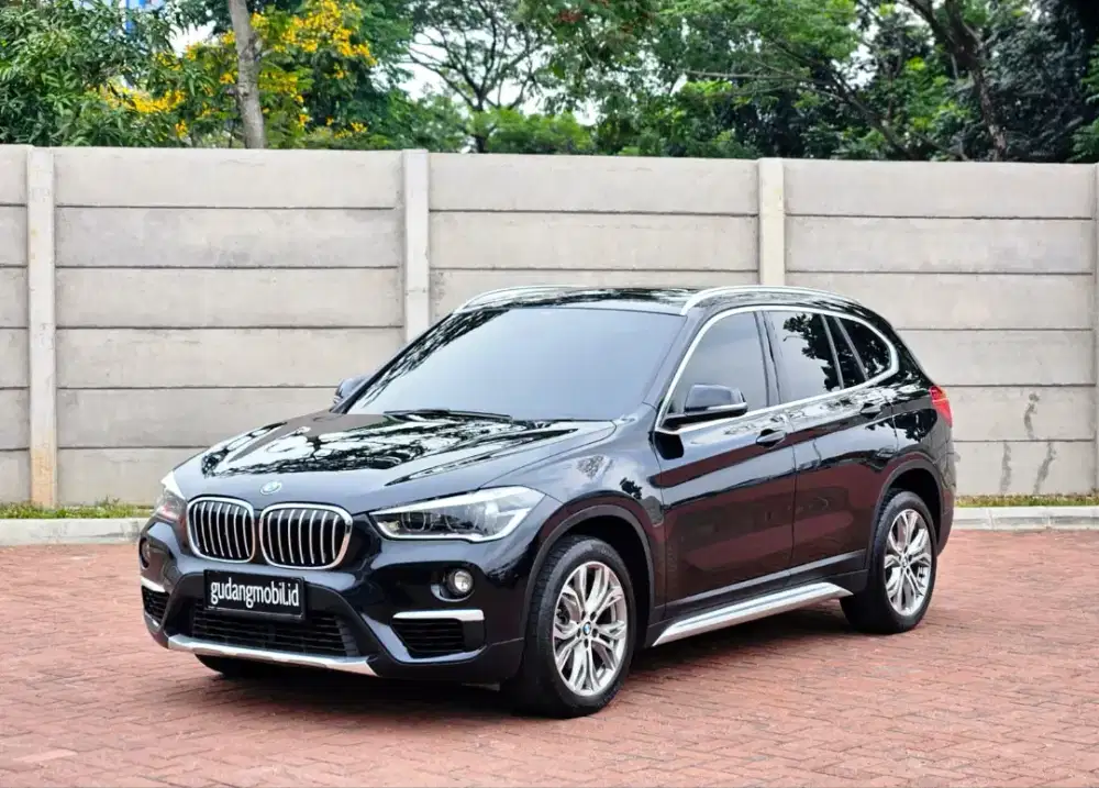 Bmw X1 Xline 2019