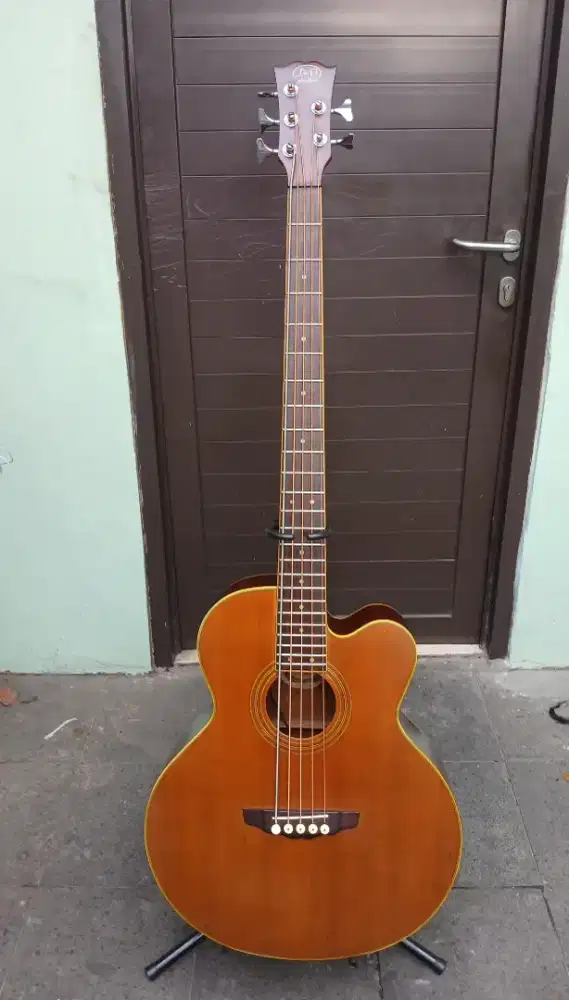 Bass Akustik unik dan langka 5 strings