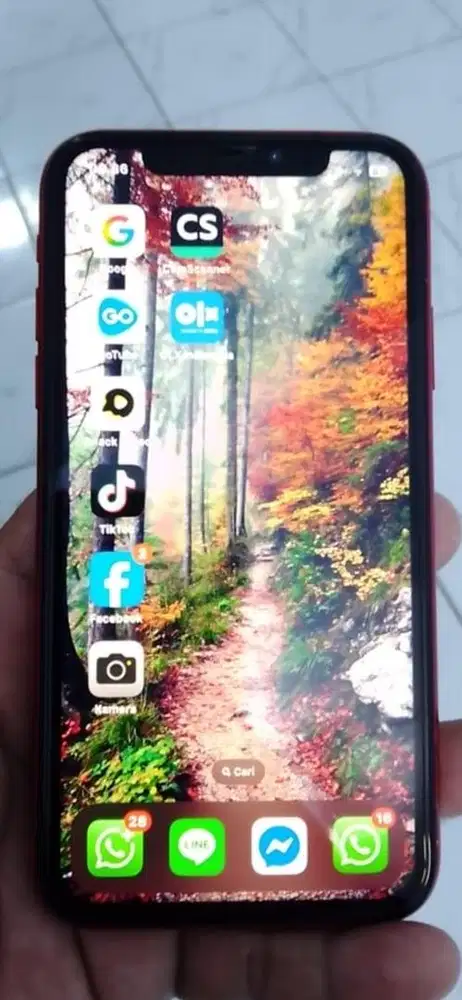 ip xr inter ram 64 all operator