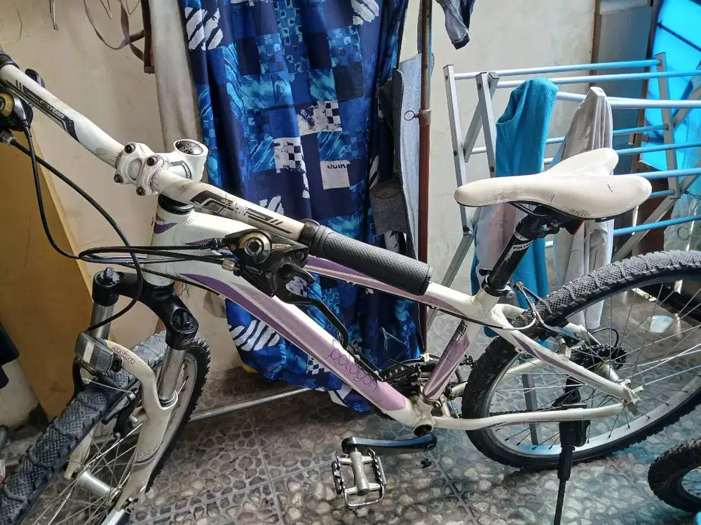 Sepeda Polygon Cleo 1