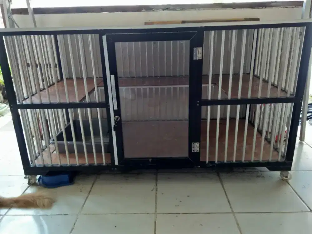 Kandang kucing jumbo besi