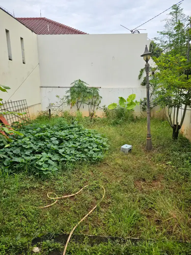 Dicari: Jasa Perawatan Rutin Taman Rumah