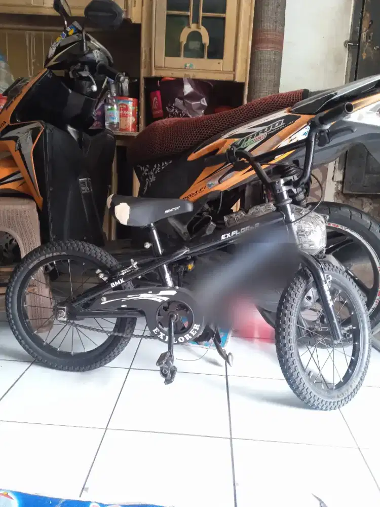 Sepeda anak bmx