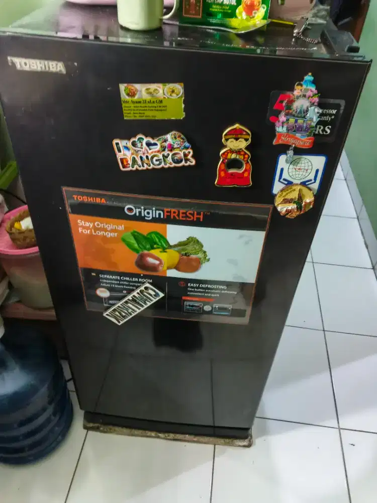 Kulkas Toshiba 1 Pintu