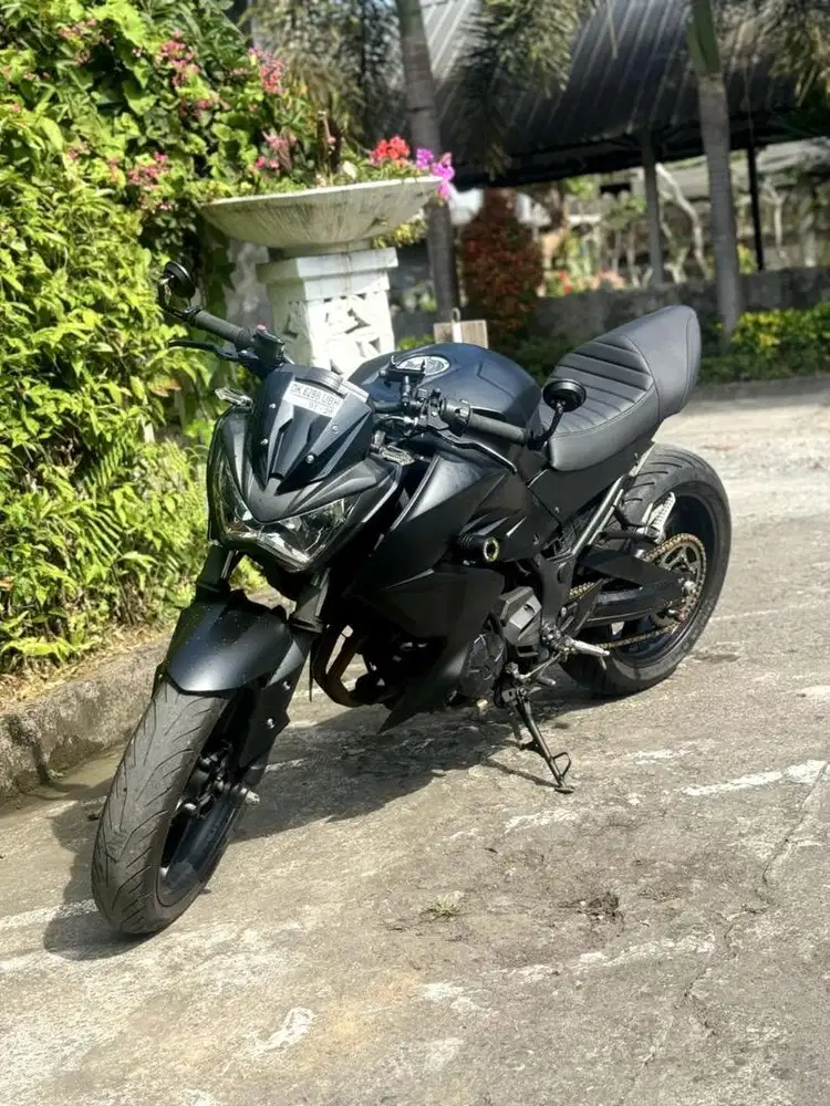 Kawasaki motor z250